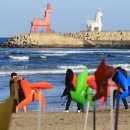 이호해변 이미지