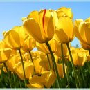 평화의 문 이미지