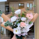 (주)애니피드 이미지