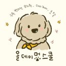 데이멍스 이미지