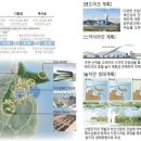 가덕도 동백군락지 이미지