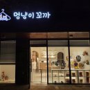 멍냥이꼬까