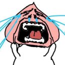 두바퀴로 가는 자동차(두바퀴) 네이버블로그