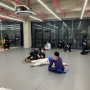 주짓수팜증포