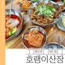 야촌(위) | 함안 맛집 호랑이 산장 | 비빔밀면·곰탕·석쇠 한판 내돈내산 후기