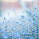 해오름1공인중개사사무소 이미지