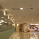 아시아드나이트 이미지