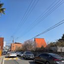 옥천(하)차량경정비 | [내돈내먹] 순천 홍매화 명소 - 사운즈 옥천 : 쏘쏘 (26년 2월 21일 방문)