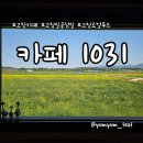 전봉준로 | 유채꽃 물결 속 감성 카페, 고창 로컬마켓 카페 1031