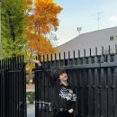 [🌤 ON ☀️DAY] 오사카의 하늘 아래에서 💛 이미지