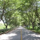 대가약수터 이미지