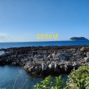 2026년신년운세-2026년 일은 2026년운세를 알아야 성공합니다. 이미지