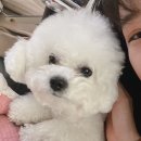 교동세천 이미지