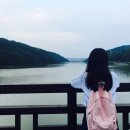 이상기획 이미지