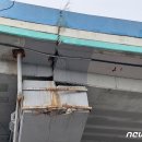 동운고가 이미지