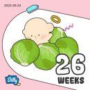 하이웰치과의원 | 임신 26~27주차 일상 - 임산부 스케일링 할인, 임산부 대상포진(판테놀케어, 박테로신 연고)