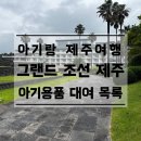 부부성인용품 | [제주 아기랑 호캉스] 그랜드 조선 제주 본관 & 힐스위트 아기용품 대여 및 세탁실 이용 후기