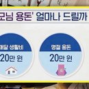 2030 직장인들이 생각하는 부모님 적정용돈 이미지