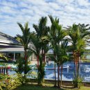 TOP골프스쿨 이미지