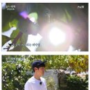 삼시세끼 득량도 더위 극복법 이미지