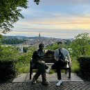 장미파크 이미지