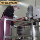 구증구포흑도라지차 | 가온명가 흑도라지청 효능? 구증구포 도라지 흡수율 차이 정리