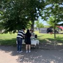 금은모래 캠핑장 이미지