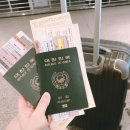 신부산약국 | 대마도 당일치기여행 (히타카츠 하루일정) 자전거여행