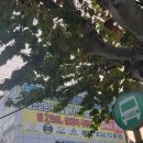 관기시장 | 성수 헬스장 데일리피트니스 성수PT추천