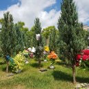 정식목장 이미지