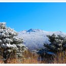 2월6일(토요일)광주 무등산( m)눈꽃 산행 이미지