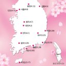 개화-꽃의 노래 이미지