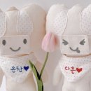 핀다(PINDA)
