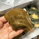 망개당 | 인천 떡 맛집 송도망개떡 망개,쑥굴레떡 세트 내돈내산 후기