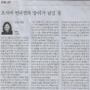 공익인권법재단공감