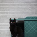 스테이스테이 이미지