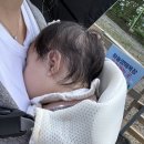 서윤목장 이미지