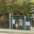 작은꿈들 이미지