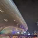쏘쿨쏘영