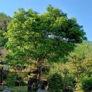 수림밸리펜션 이미지