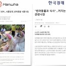 라바호텔 이미지