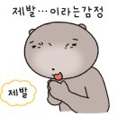 살롱드엘 - 제주시 | 살롱드엘
