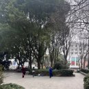 신호등 탕후루 | 1월 상하이 여행(3일차-우캉루, 티엔즈팡, 와이탄, 난징동루)