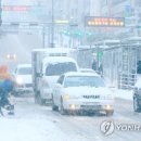 남조로수망교차로 2 이미지