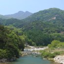 월림리[동] 네이버블로그