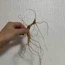 종삼농장 이미지