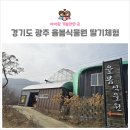 도마리1소교량 | 경기도 광주 율봄식물원 딸기체험 후기 아이와 가볼만한 곳