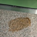 세움클린 이미지