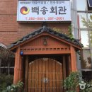 백송 이미지