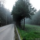 축석주유소 이미지